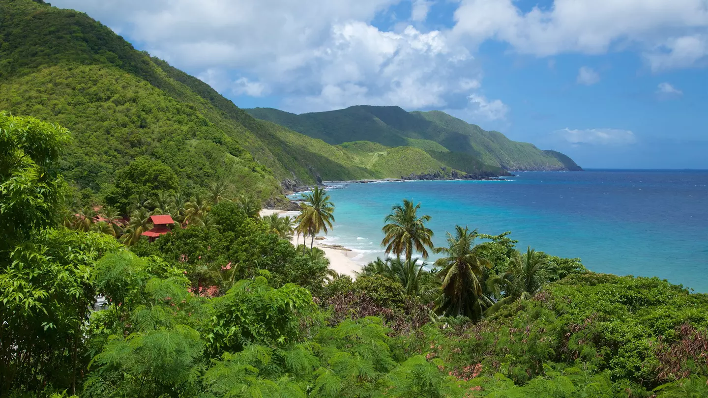 The green jungle-covered slopes of a Caribbean island meet the turquoise ocean