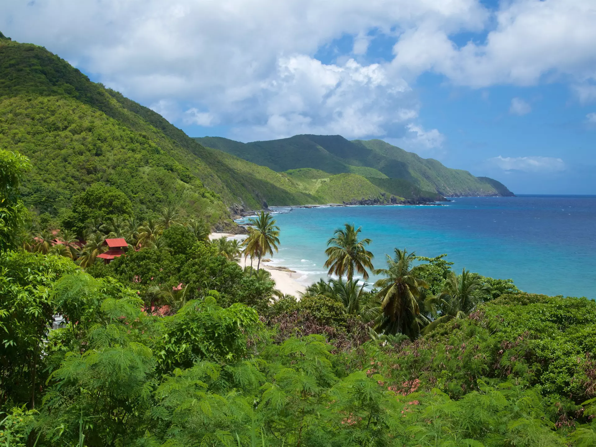 The green jungle-covered slopes of a Caribbean island meet the turquoise ocean