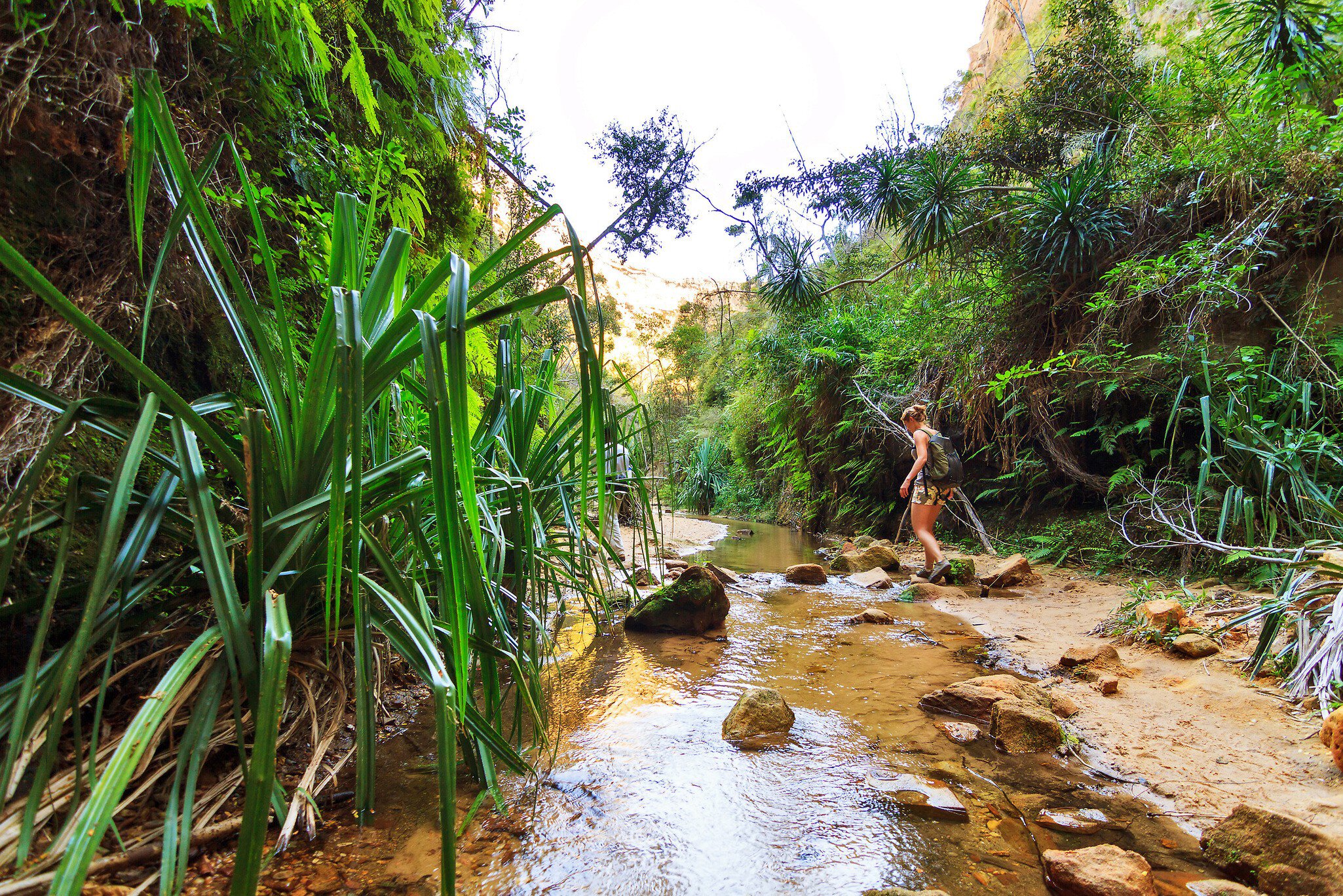 Woman hiking across a small stream in Isalo National Park.