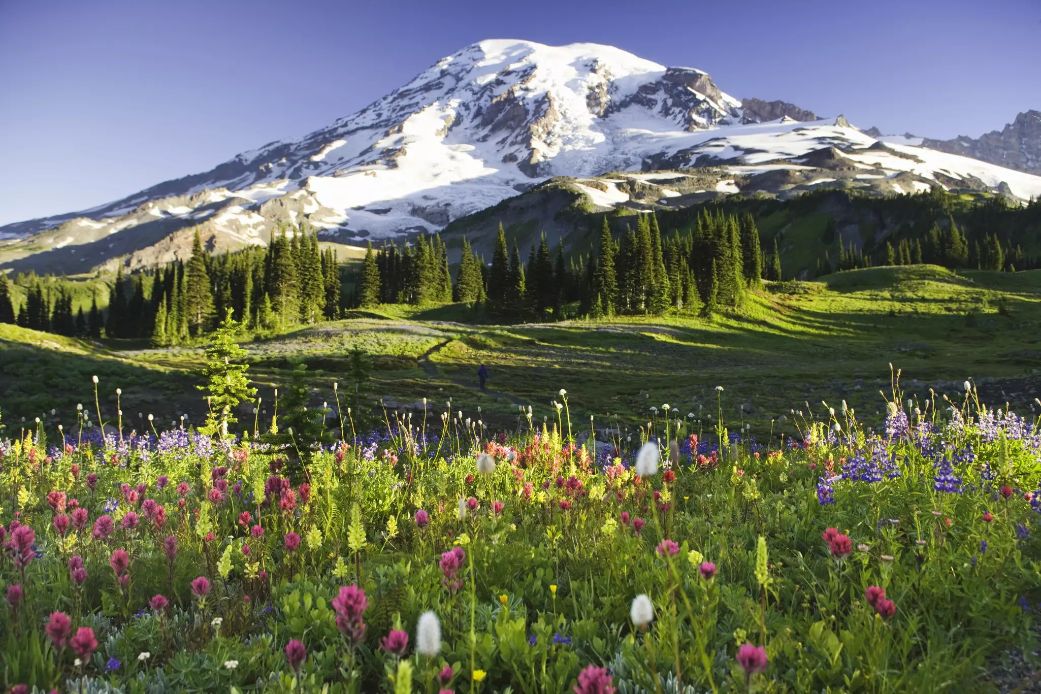 The scenery at Mt Rainier National Park is stunning no matter when you visit © Rene Frederick / Getty Images