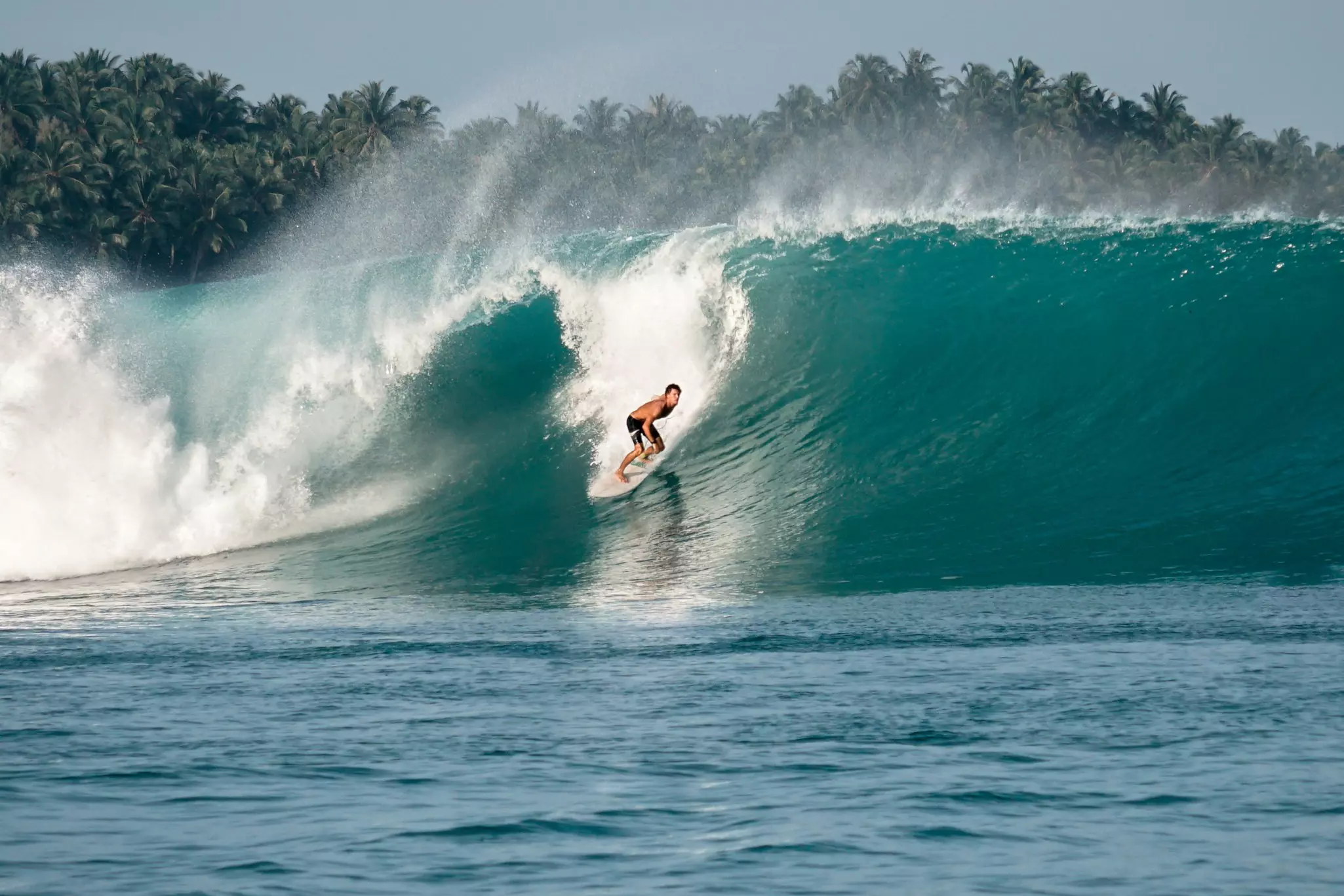 A surfer rides a huge wave off the coast of a tropical island.
