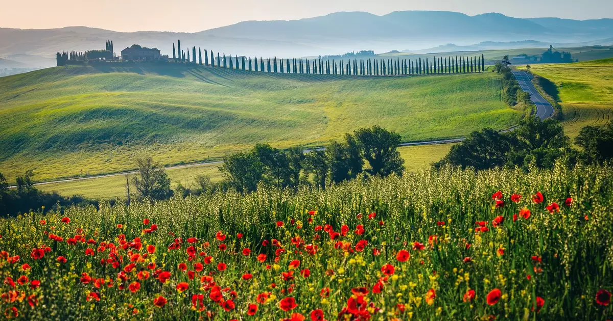 The best places to see flowers in Europe - Lonely Planet