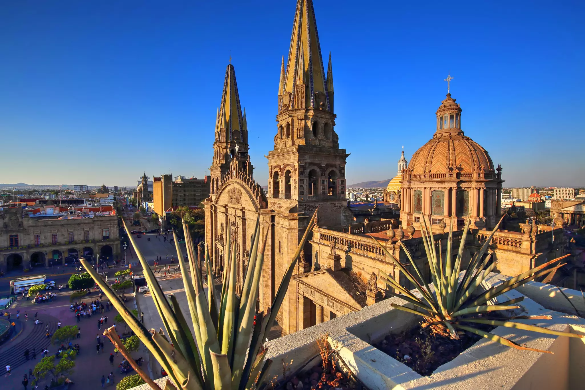 A view of a cathedral from a nearby rooftop, framed by spiky plants against a blue sky