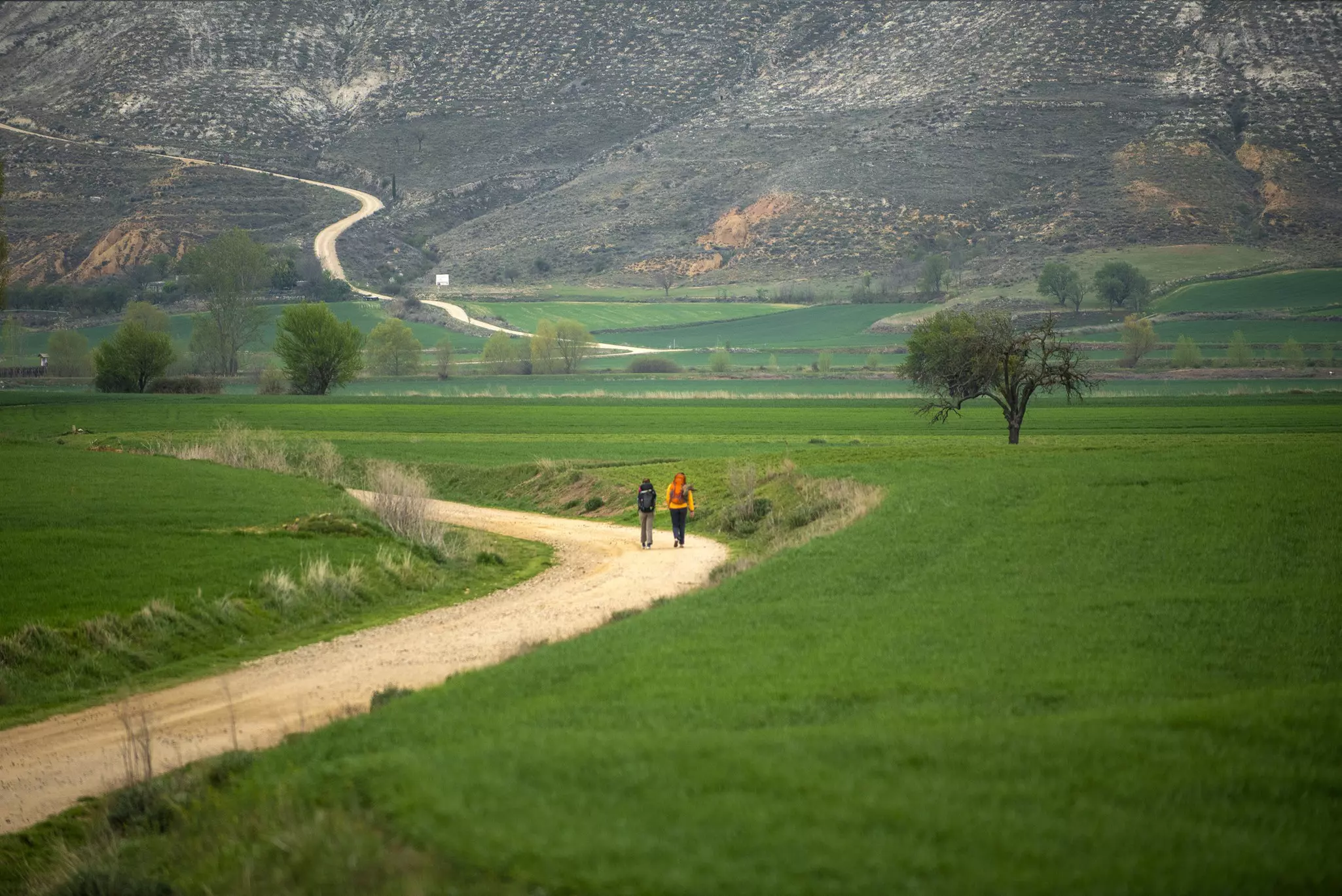 Follow the Camino Francés through some rural areas of Northern Spain. Carmen Martínez Torrón / Getty Images
