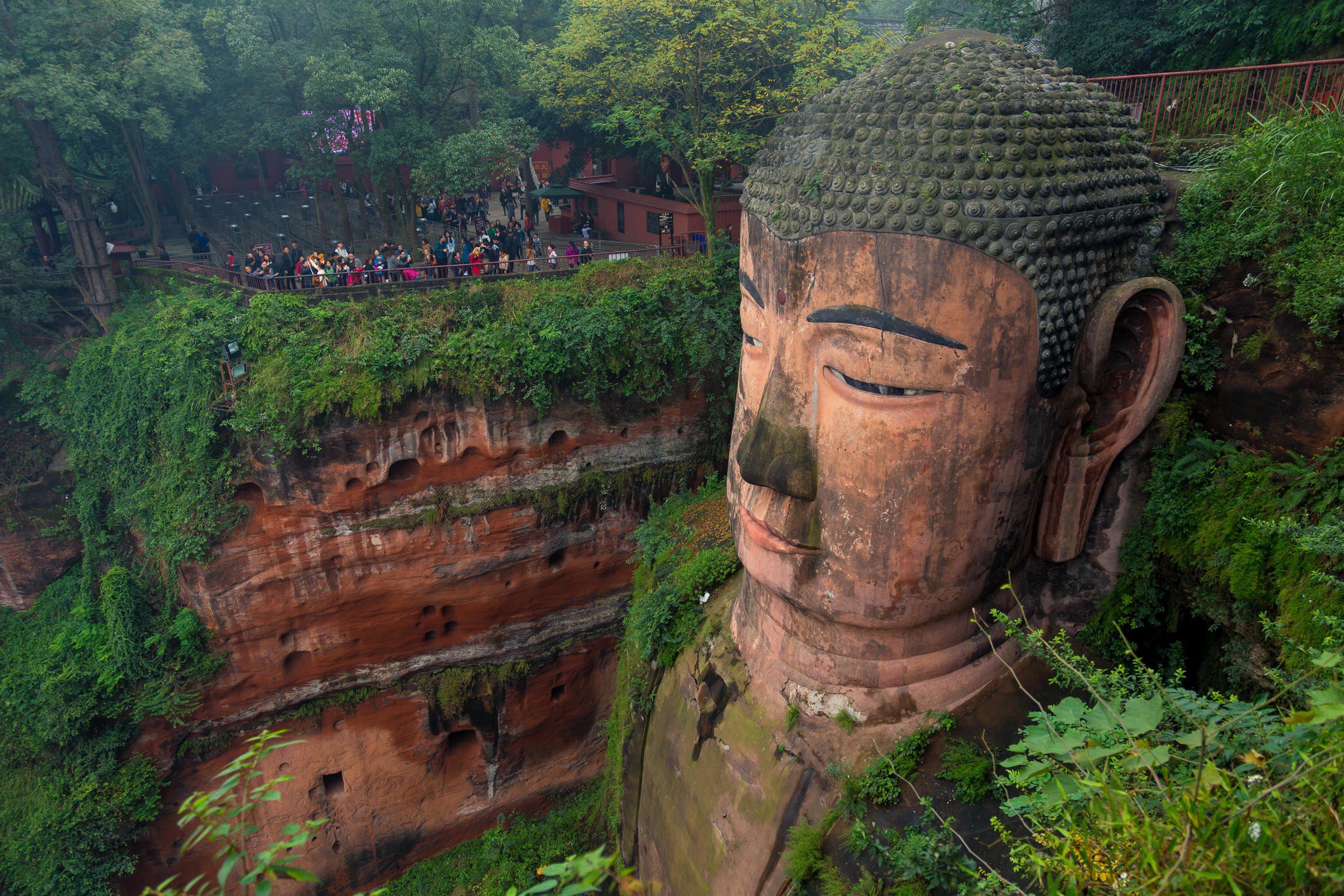 Giant stone Buddha head carved into a red sandstone cliff with ferns, crowds of people on a path above, at Leshan, China.