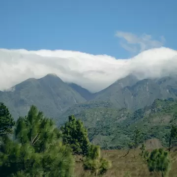 Forested mountain ridges under a thick band of white cloud, with pine trees and dry grassland in the foreground
