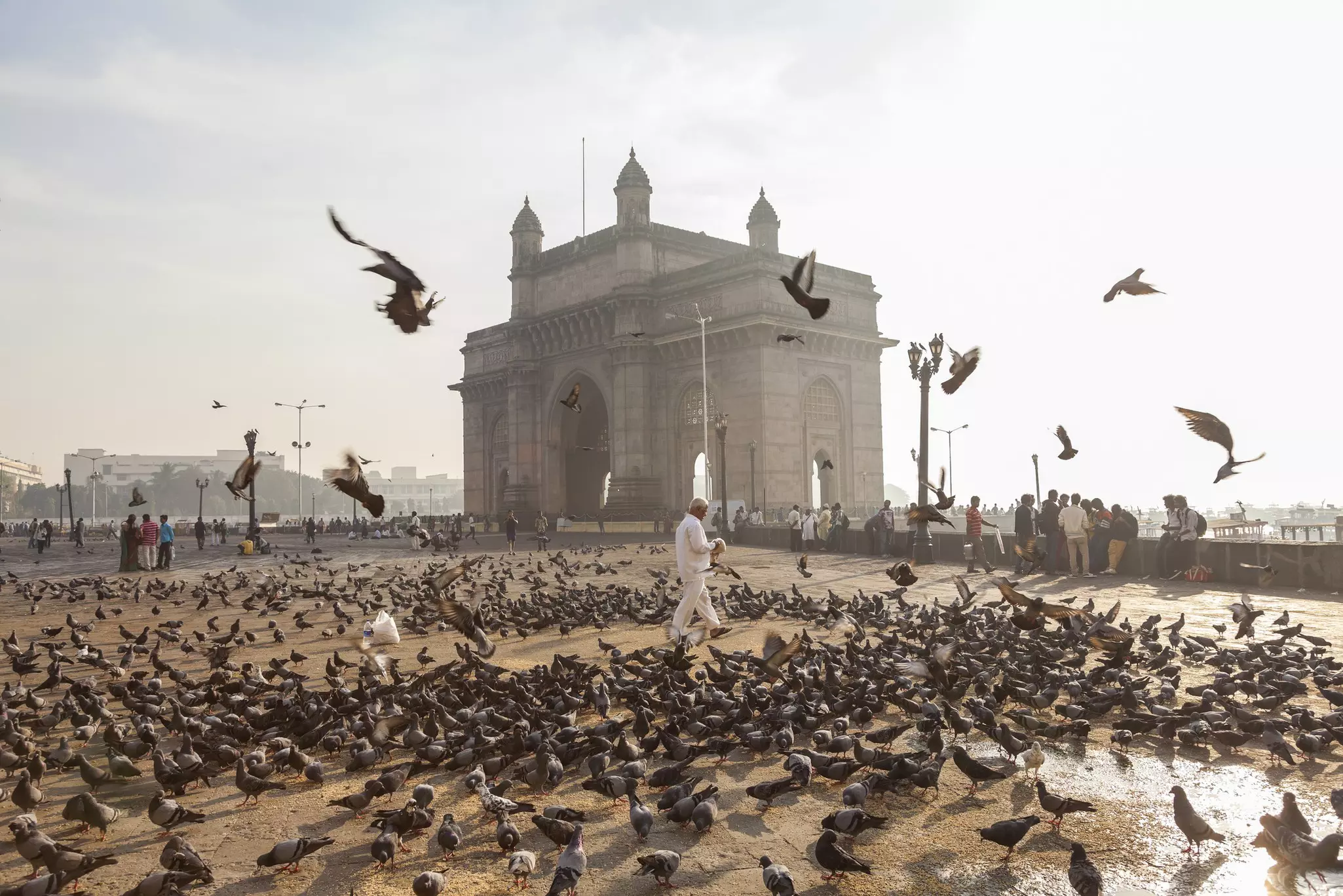Pigeons fly from the floor in front of the India Gate, Mumbai as a man in all white walks through them