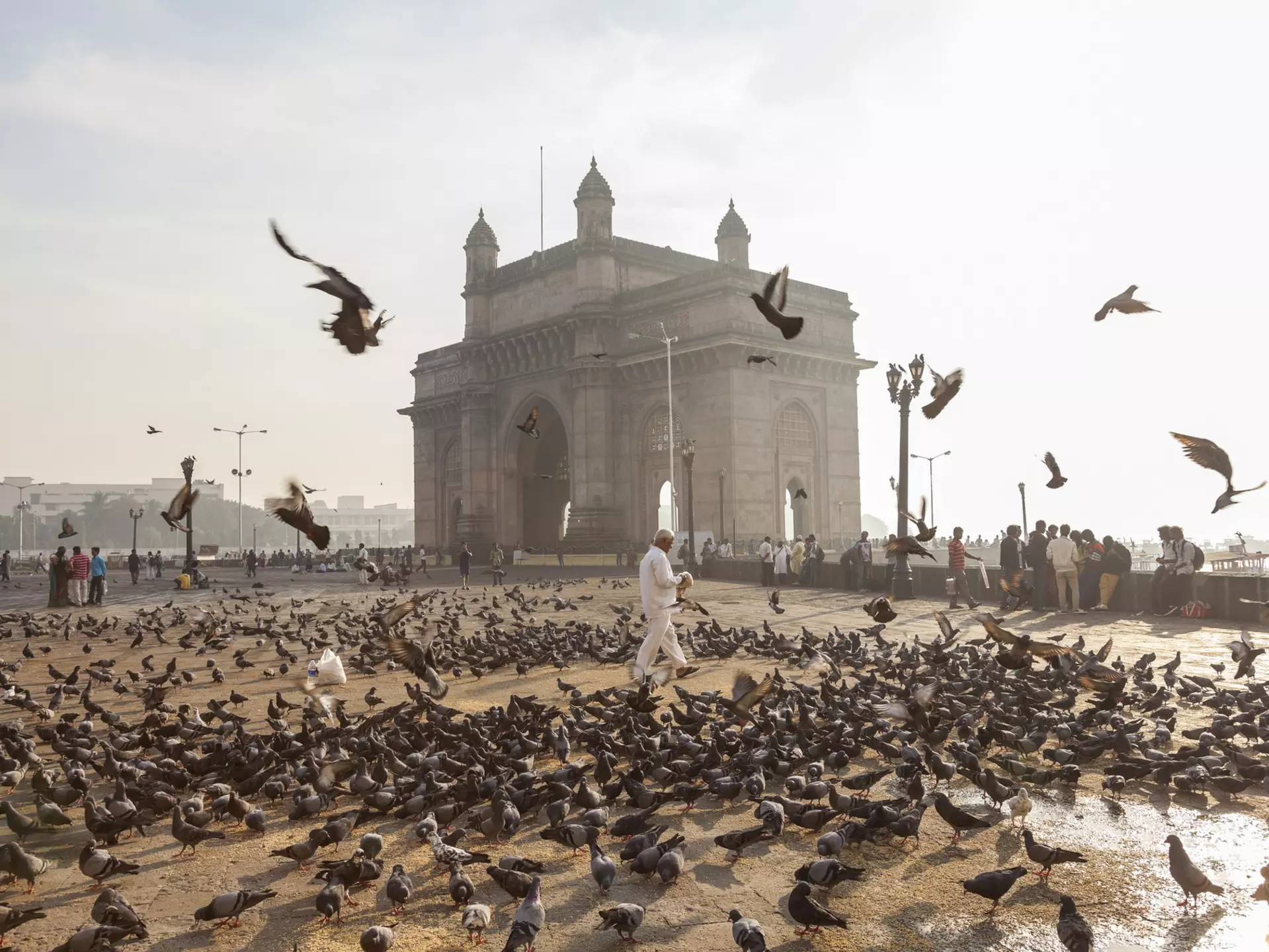 A man walks among thousands of pigeons in front of an elaborate stone archway by the waterfront of a city.