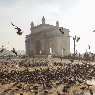 A man walks among thousands of pigeons in front of an elaborate stone archway by the waterfront of a city.