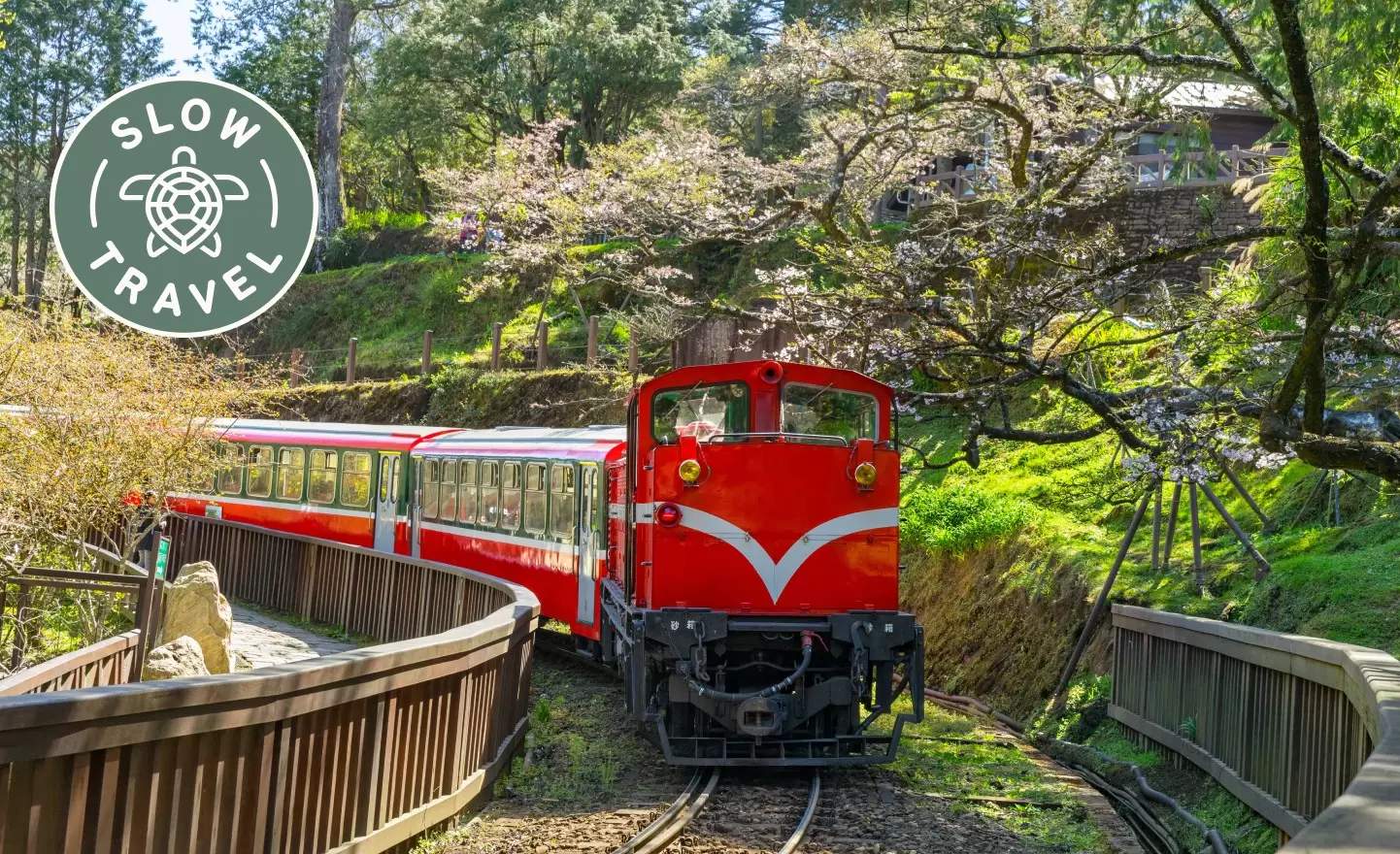Gleaming red diesel engines propel a train of historic wooden carriages through Alishan Forest Recreation Area © Sean3810 / Getty Images