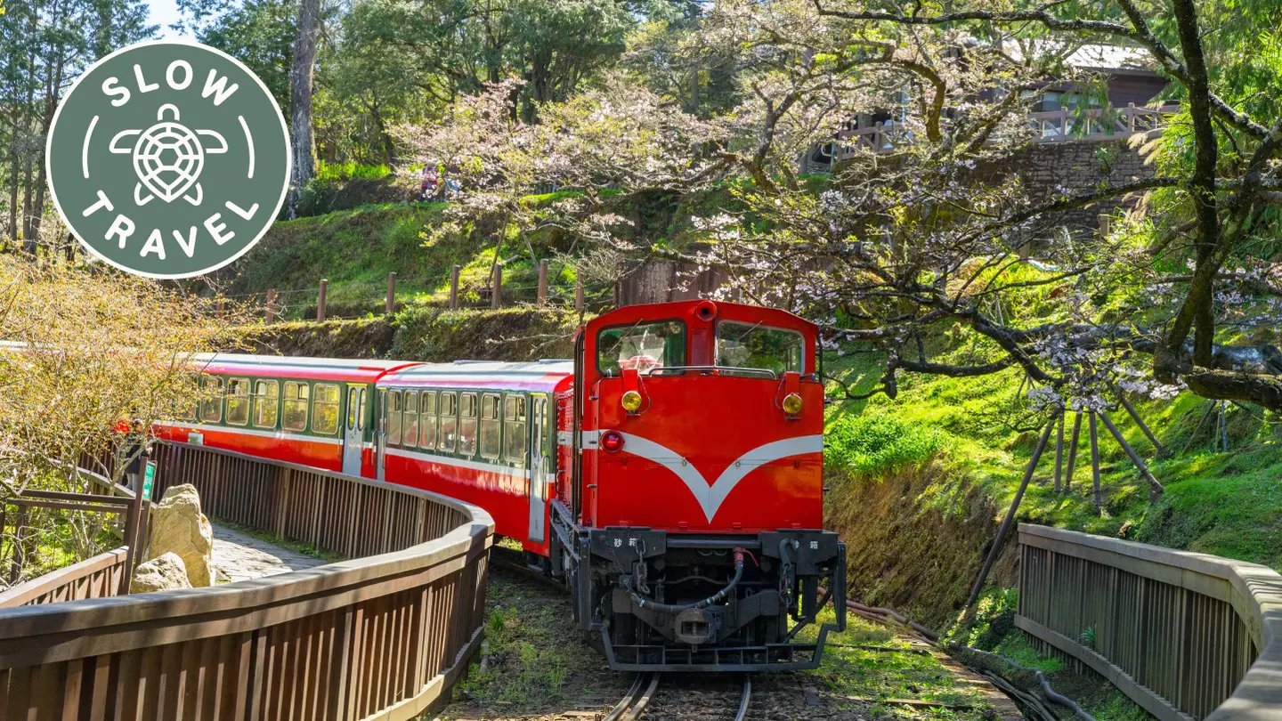 Gleaming red diesel engines propel a train of historic wooden carriages through Alishan Forest Recreation Area © Sean3810 / Getty Images