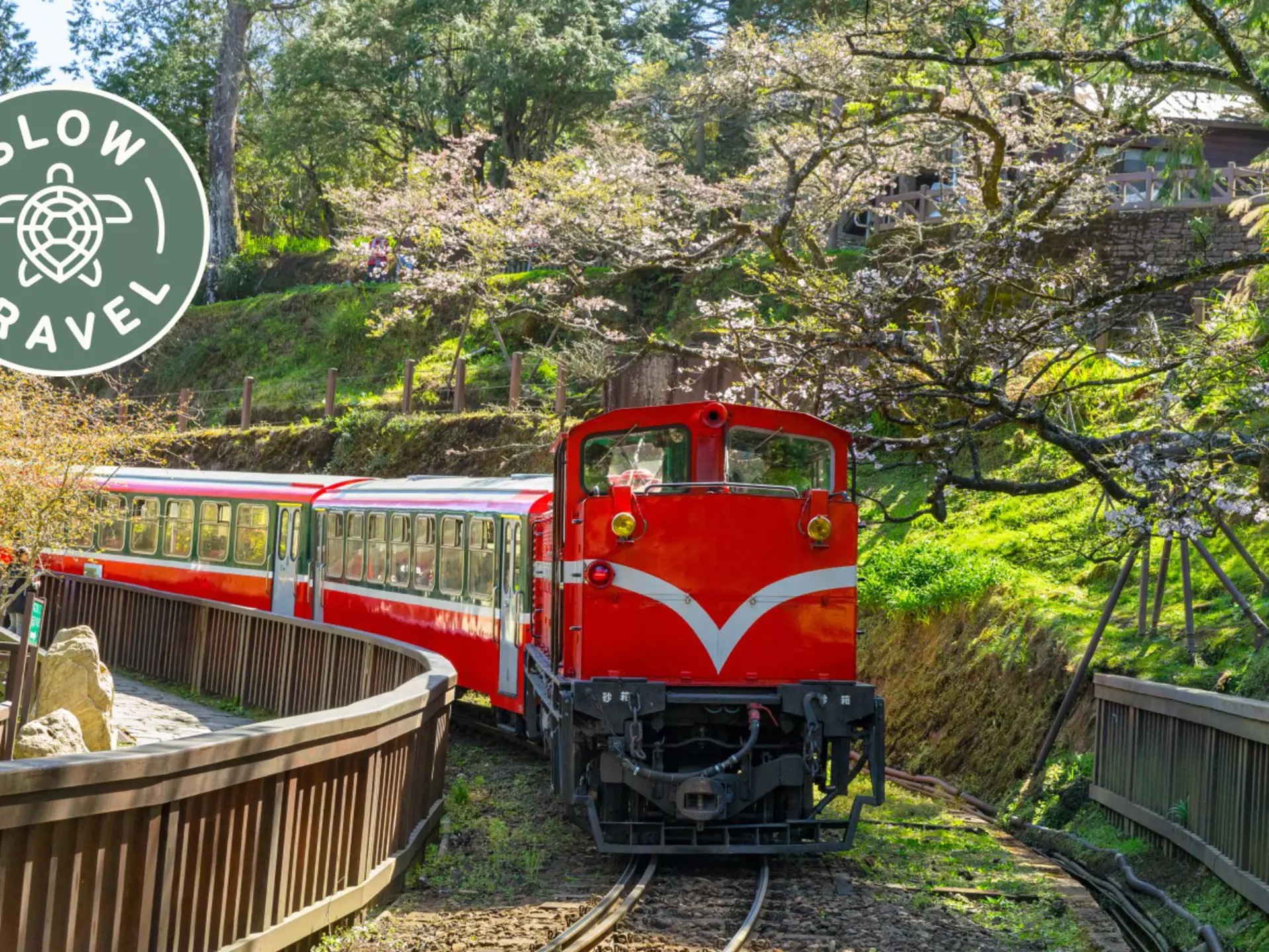 Gleaming red diesel engines propel a train of historic wooden carriages through Alishan Forest Recreation Area © Sean3810 / Getty Images