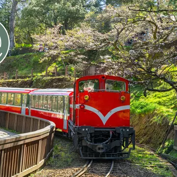 Gleaming red diesel engines propel a train of historic wooden carriages through Alishan Forest Recreation Area © Sean3810 / Getty Images
