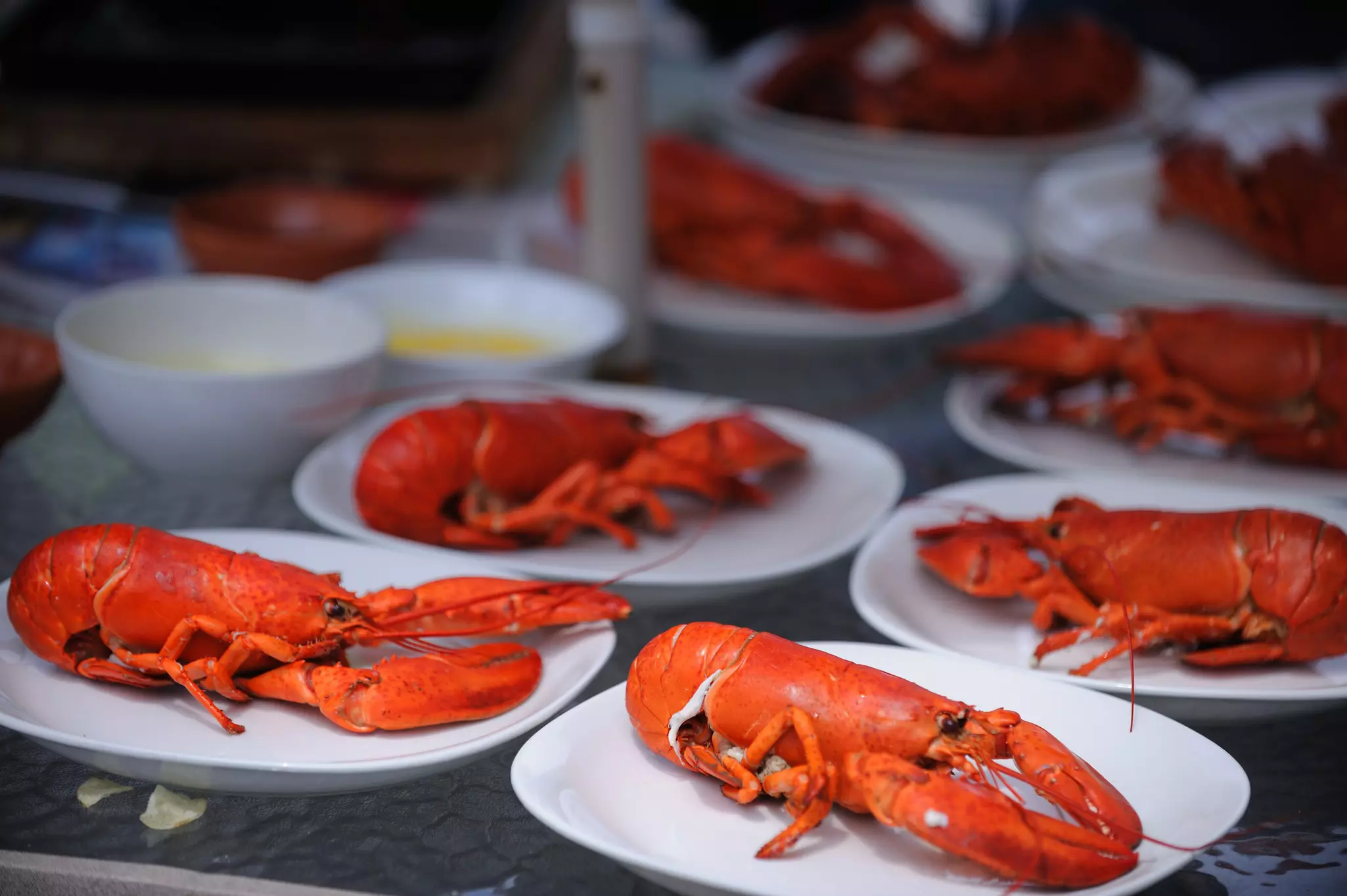 Cooked lobsters are presented on white plates, waiting to be served.
