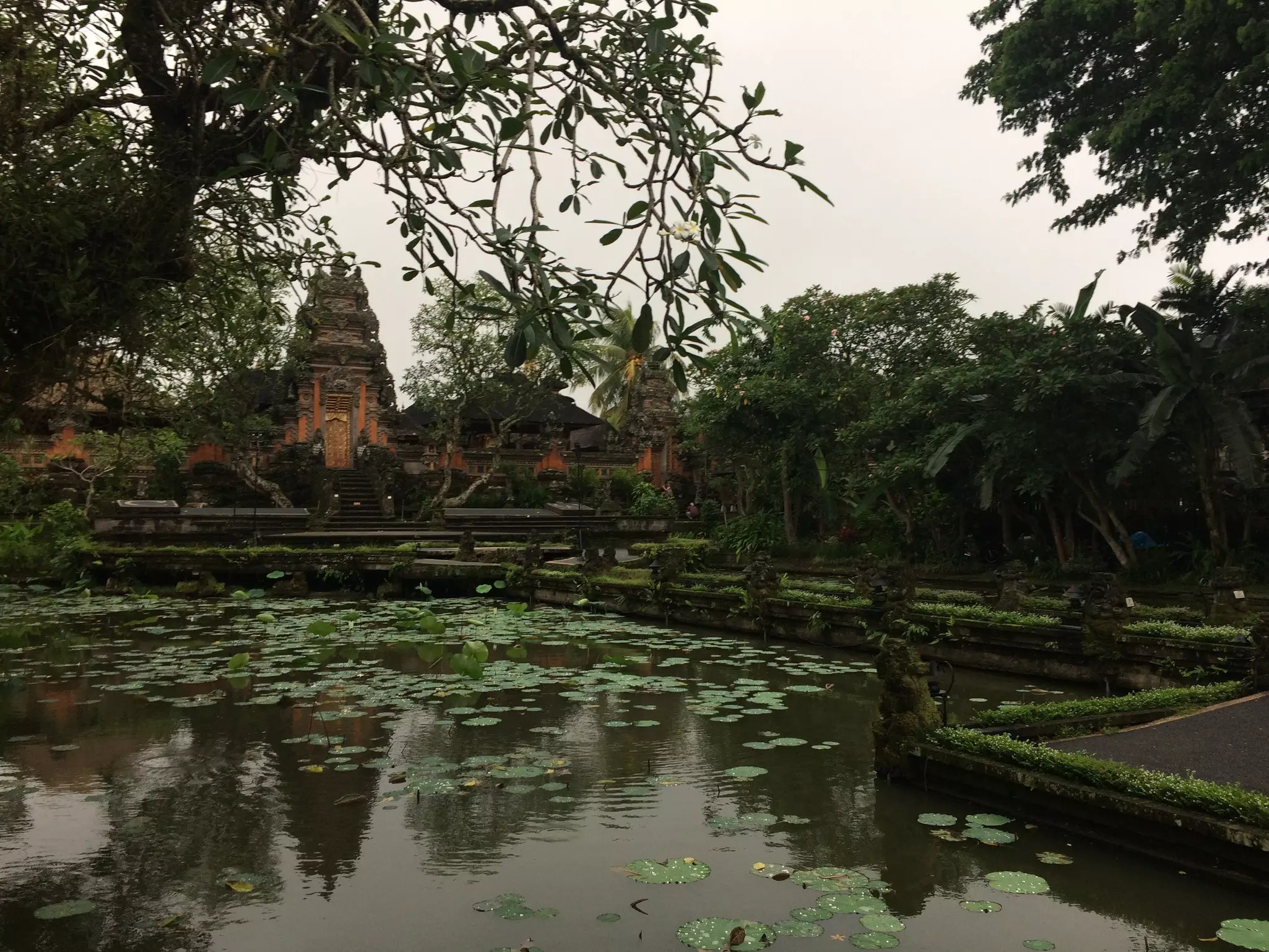A temple in Indonesia is set beyond a pool with water lilies.