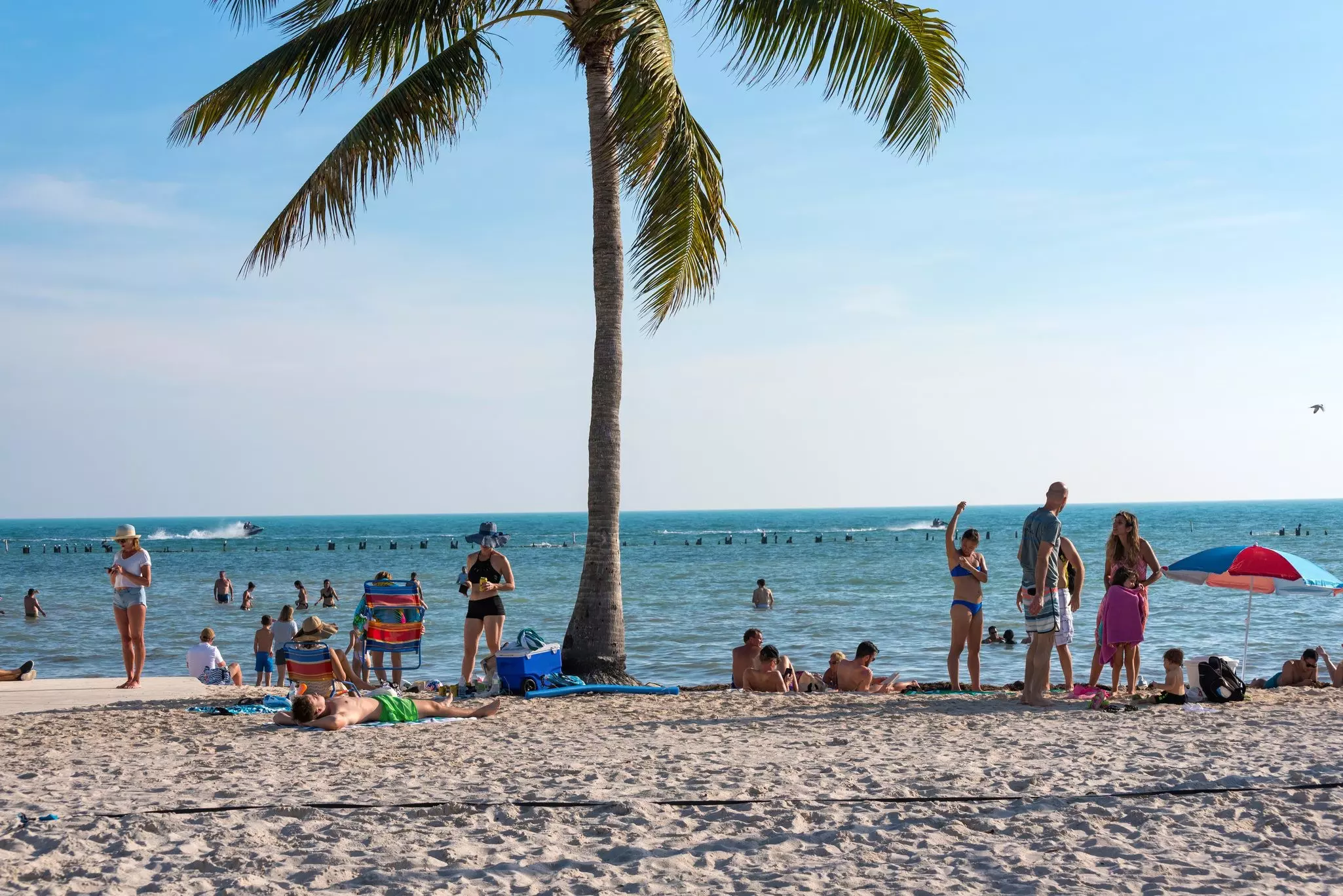 Men and women enjoy a sunny day on the sand at a beach. A single palm tree is at the center of the image.
