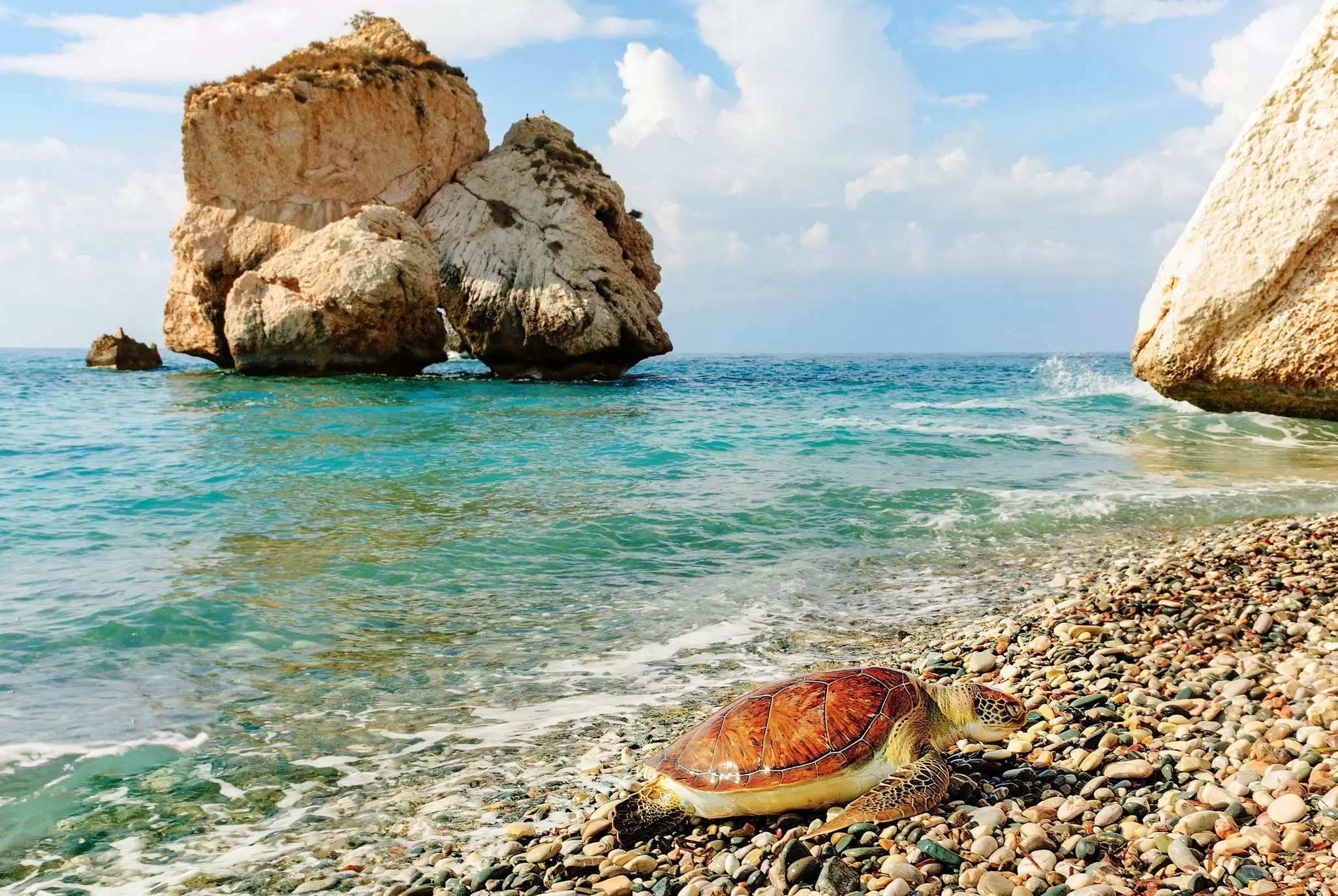 A beach on the coast of Cyprus