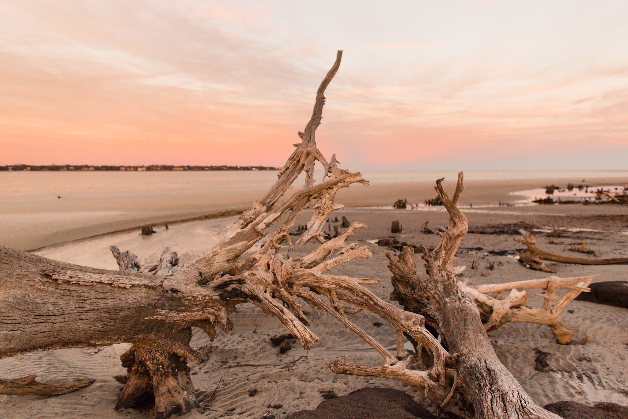904717522
Stream - Flowing Water; Sun; Sunbeam; Sunlight; Sunset; Surf; Travel; Travel Destinations; Tree; Tree Area; Tree Stump; Tree Trunk; USA; Vacations; Water; Wood - Material; Woodland; Beach; Beauty; Bright; Brightly Lit; Coastline; Cold Tempera...