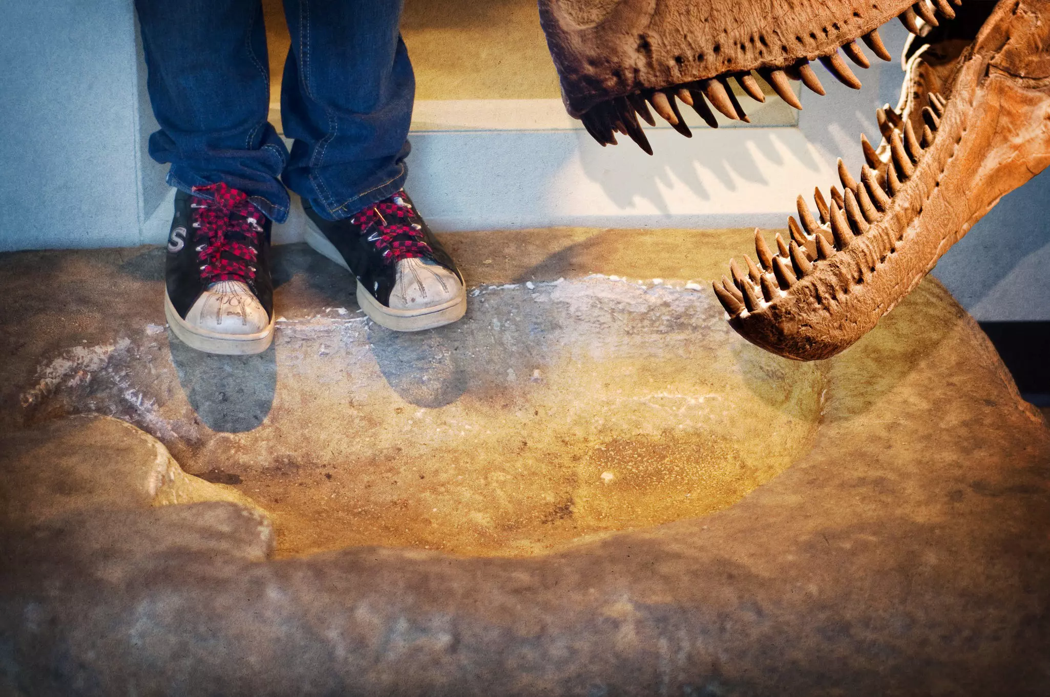 Kids will love the dinosaur fossils on display at Chicago's Field Museum of Natural History © Trina Dopp Photography / Getty Images