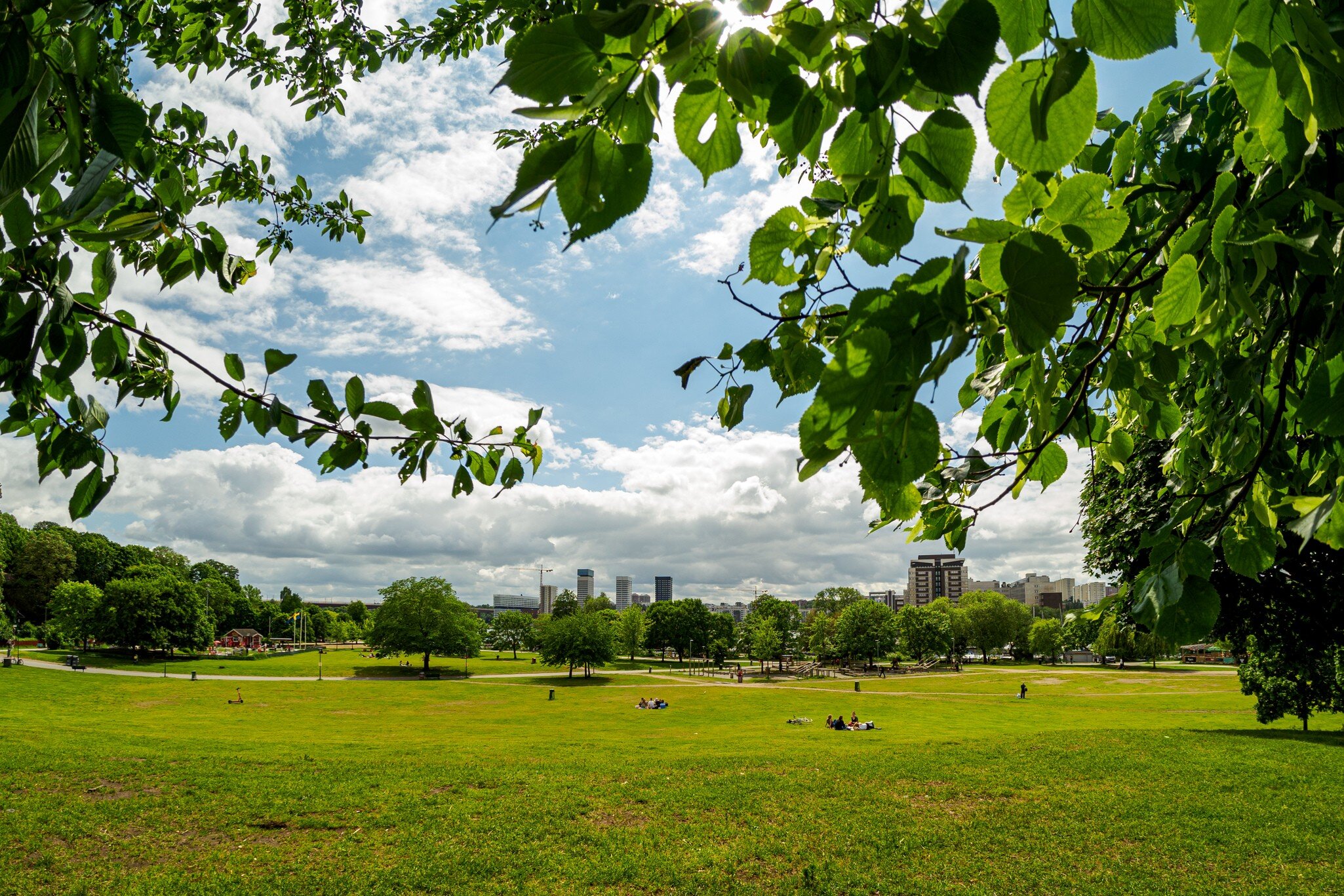 View of Tantolunden park on Södermalm with buildings in Liljeholmskajen in the background - in Stockholm, Sweden