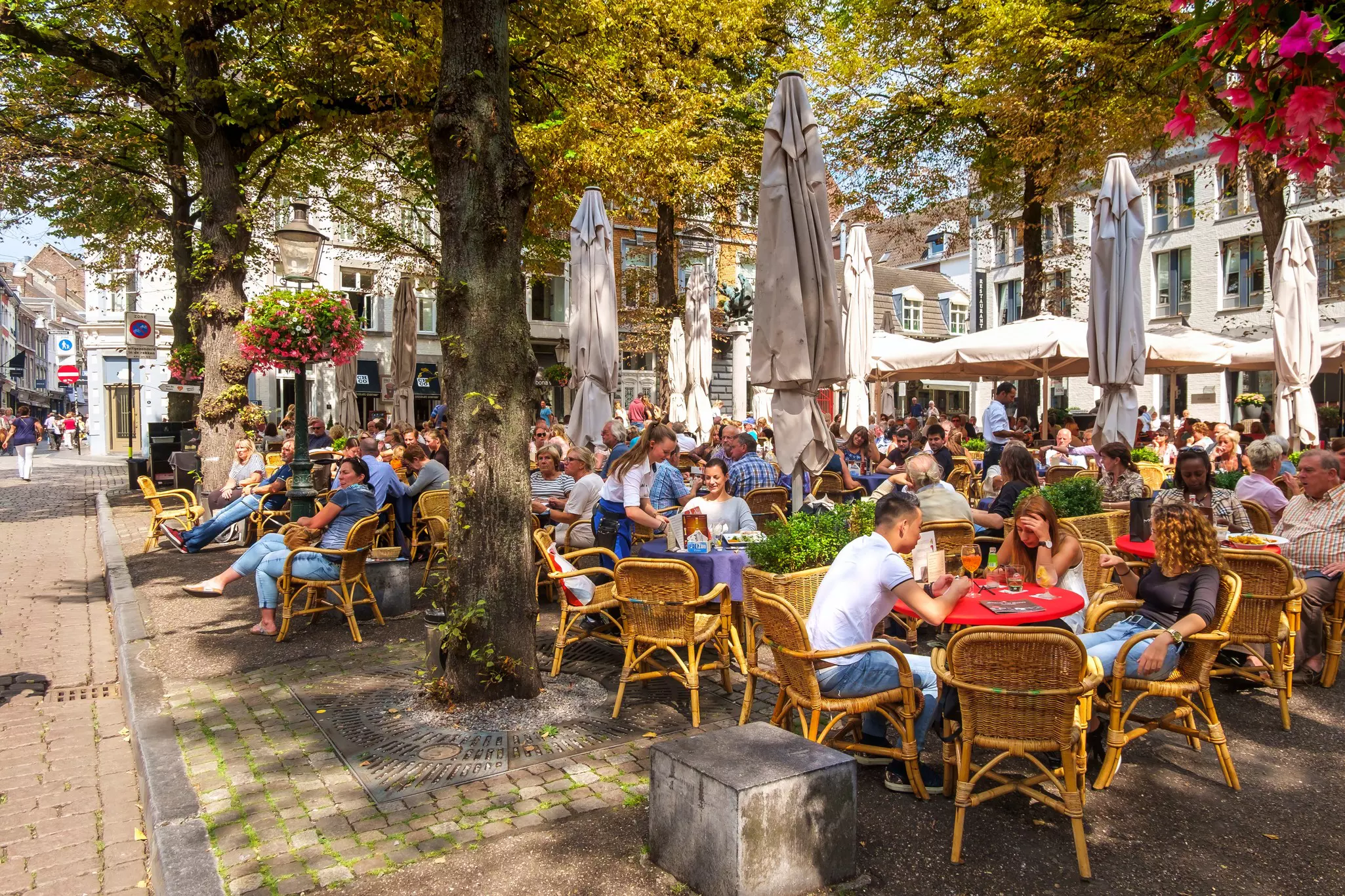 People enjoying a drink on a terrace, under the trees in summer