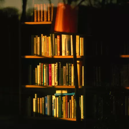 Sunlight on bookshelves England, Europe, Oxford, Oxfordshire, United Kingdom, art, book, culture, education, interior, library
