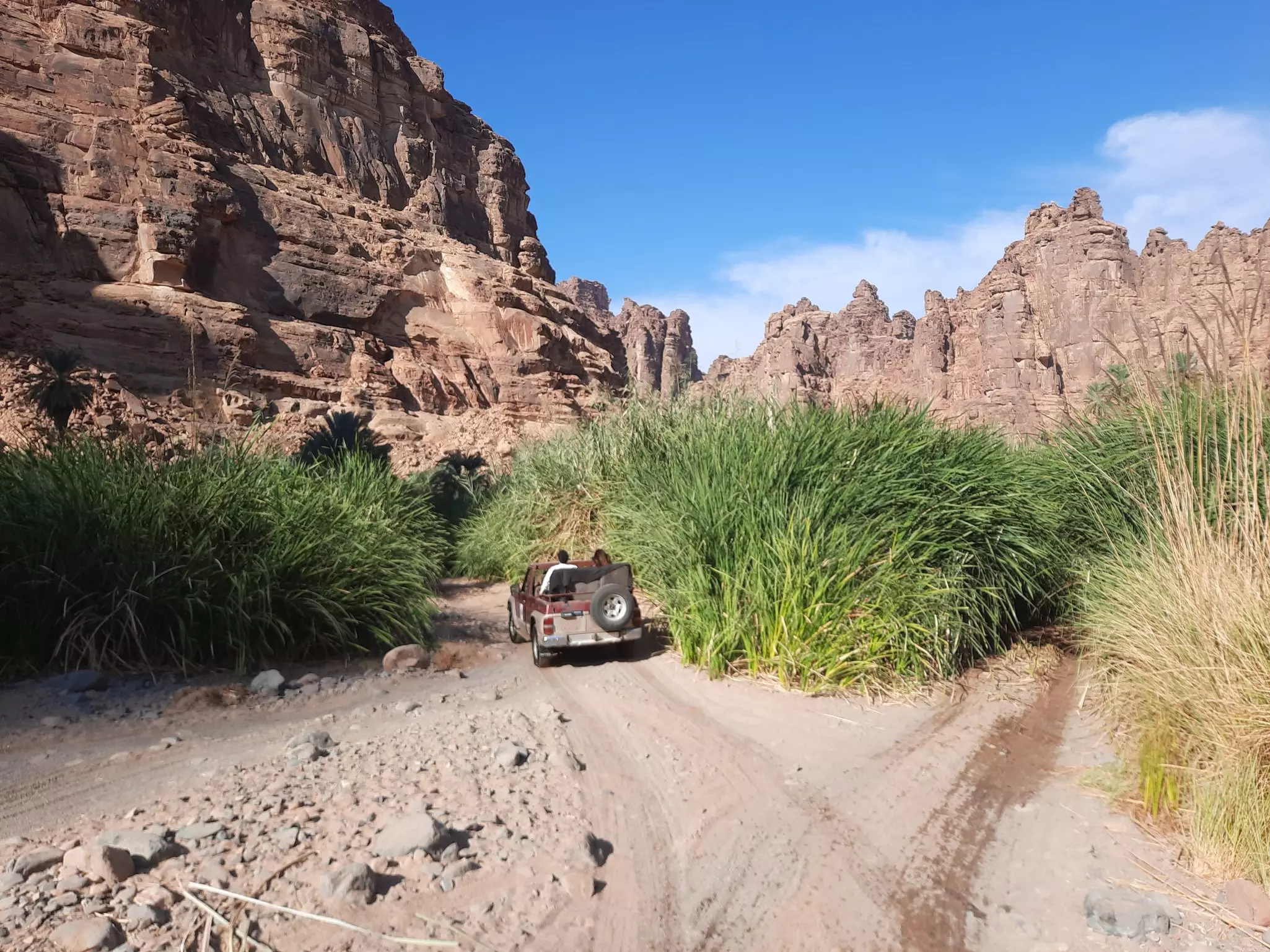 People drive a jeep on a dirt path between green grasses toward tall rock formations.