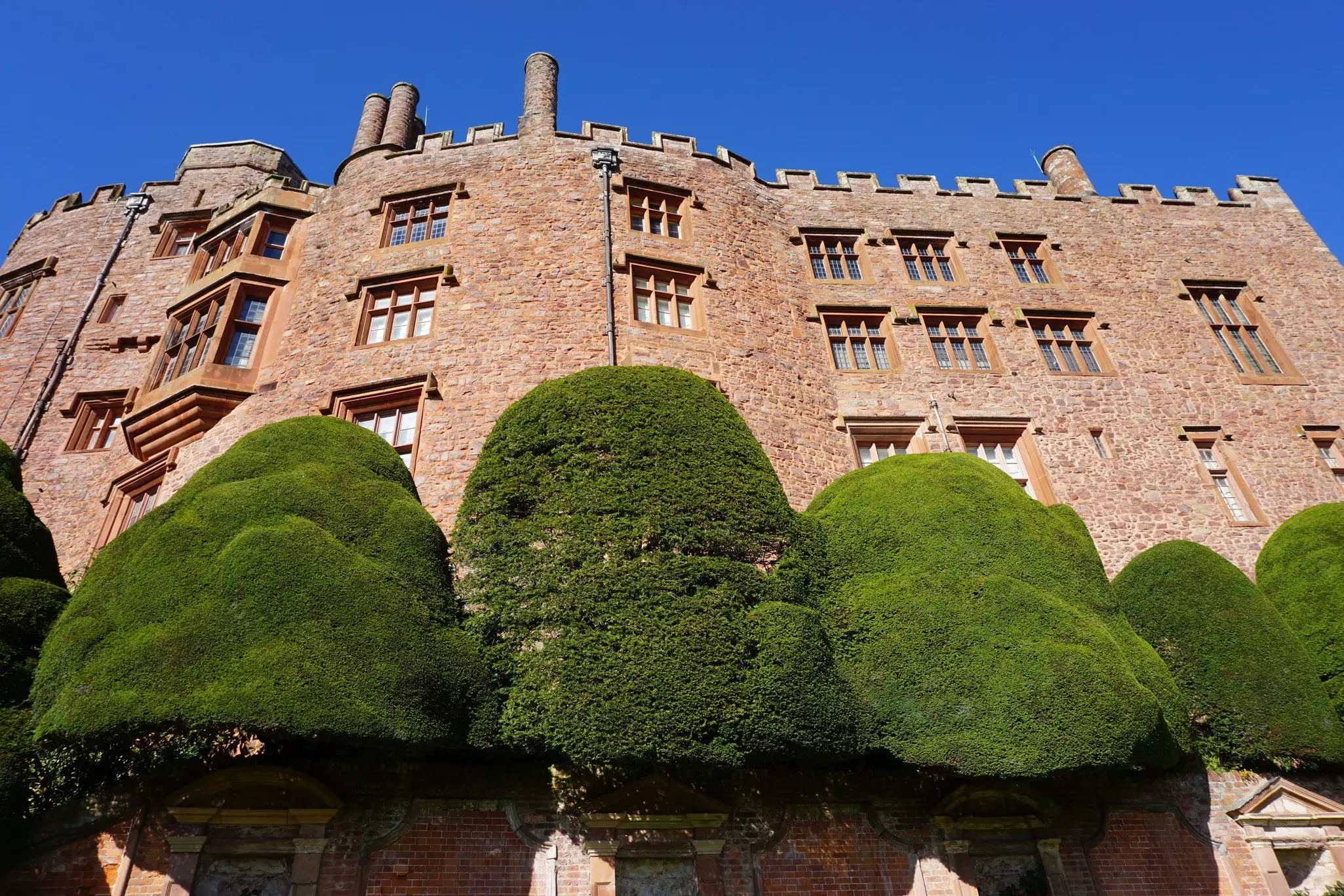 Trimmed trees below the walls of Powis Castle, Powys, Wales.