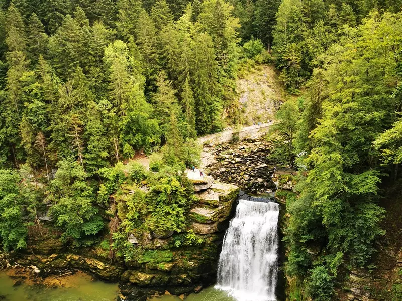 Waterfall surrounded by forest