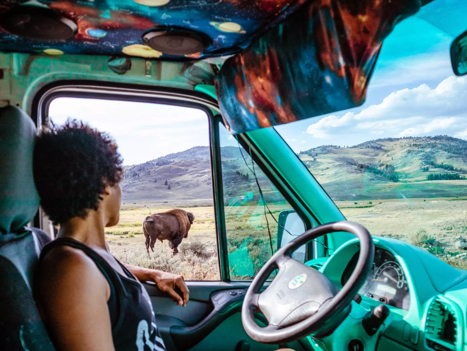 Woman looking out car window at bison in Yellowstone  License Type: media  Download Time: 2021-09-24T15:15:06.000Z  User: zachary.laks_lonelyplanet  Is Editorial: No  purchase_order:
