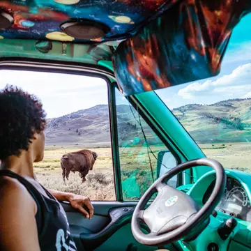 Woman looking out car window at bison in Yellowstone  License Type: media  Download Time: 2021-09-24T15:15:06.000Z  User: zachary.laks_lonelyplanet  Is Editorial: No  purchase_order: