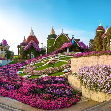 The Village of Flowers at Dubai Miracle Garden