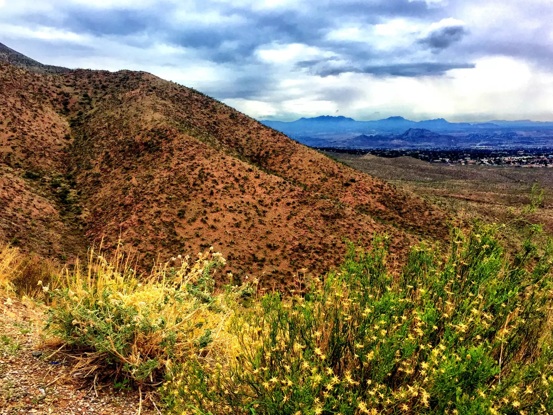 Spring brings carpets of beautiful yellow wildflowers to Franklin Mountains State Park, the USA’s largest state park in an urban area © Gigi_my_girl / Getty Images