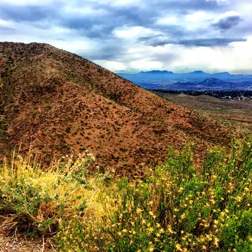 Spring brings carpets of beautiful yellow wildflowers to Franklin Mountains State Park, the USA’s largest state park in an urban area © Gigi_my_girl / Getty Images