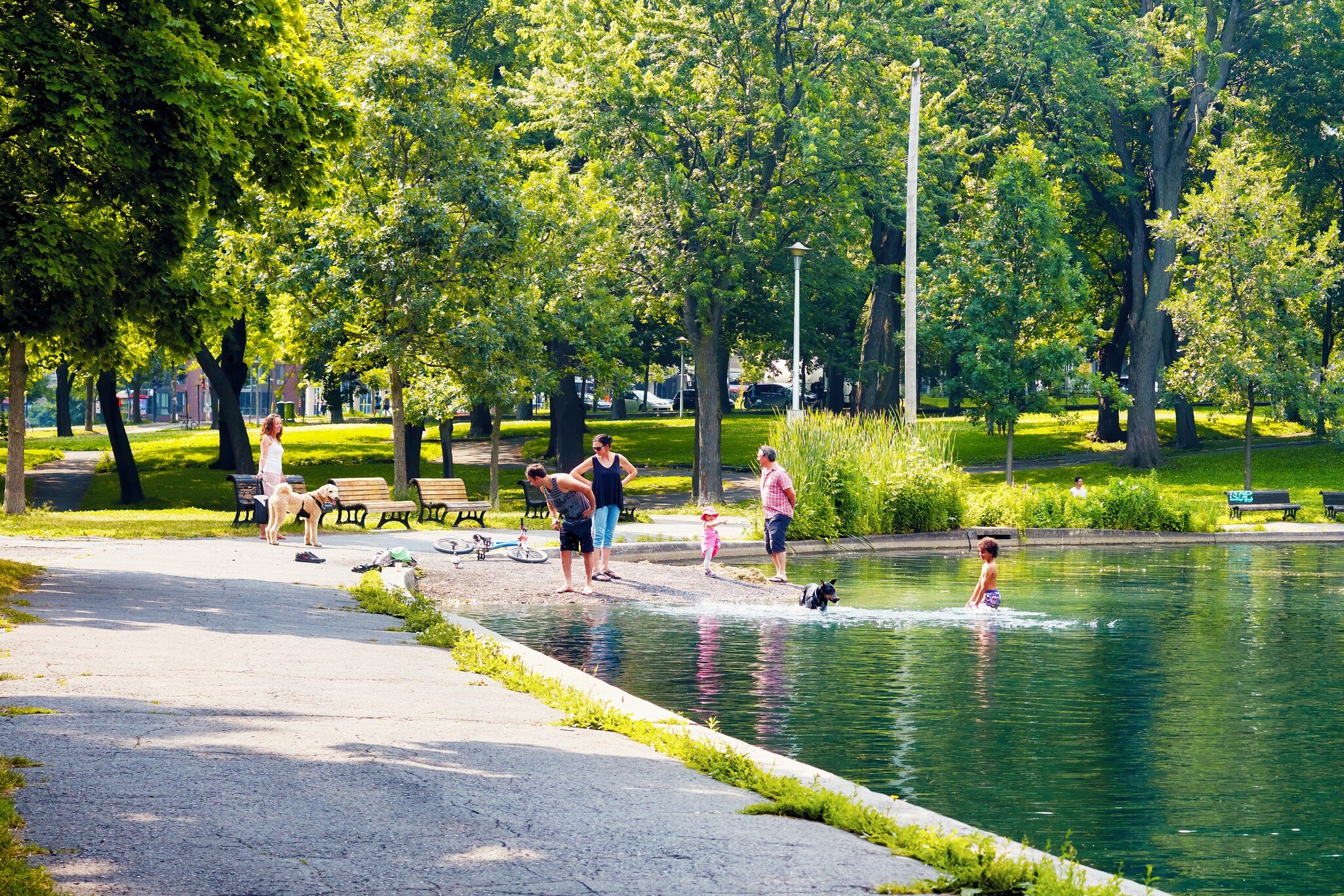 La Fontaine Park in Montréal was the perfect place to take a break after a few long days of cycling.