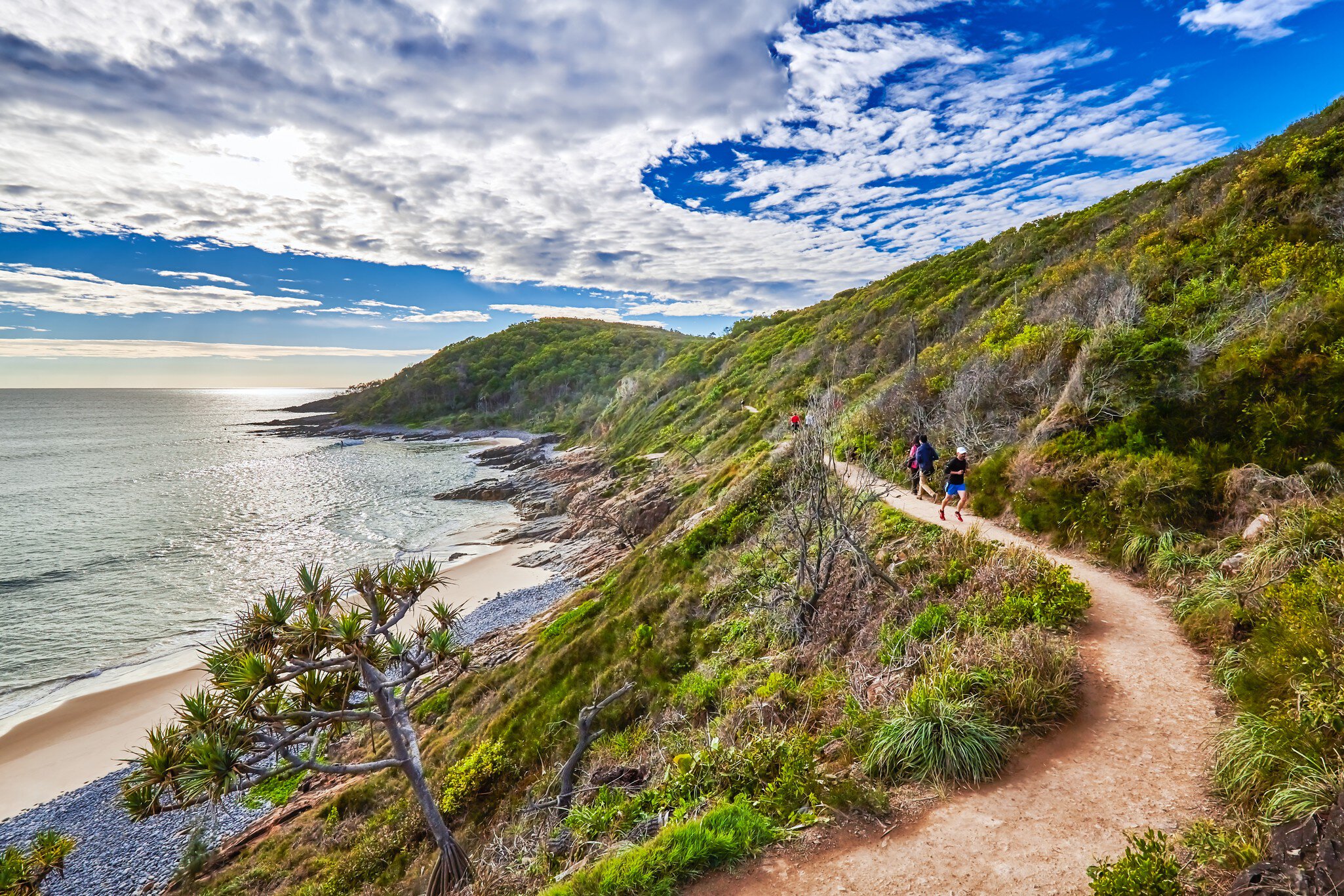 People walking the Coast Track in the Noosa National Park,Noosa,Australia
825397412
