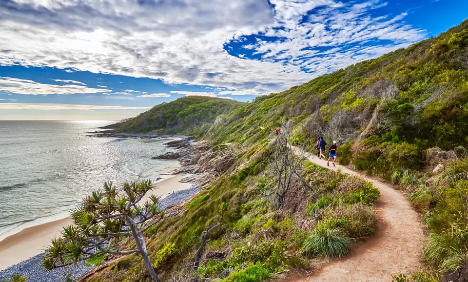 People walking the Coast Track in the Noosa National Park,Noosa,Australia
825397412
