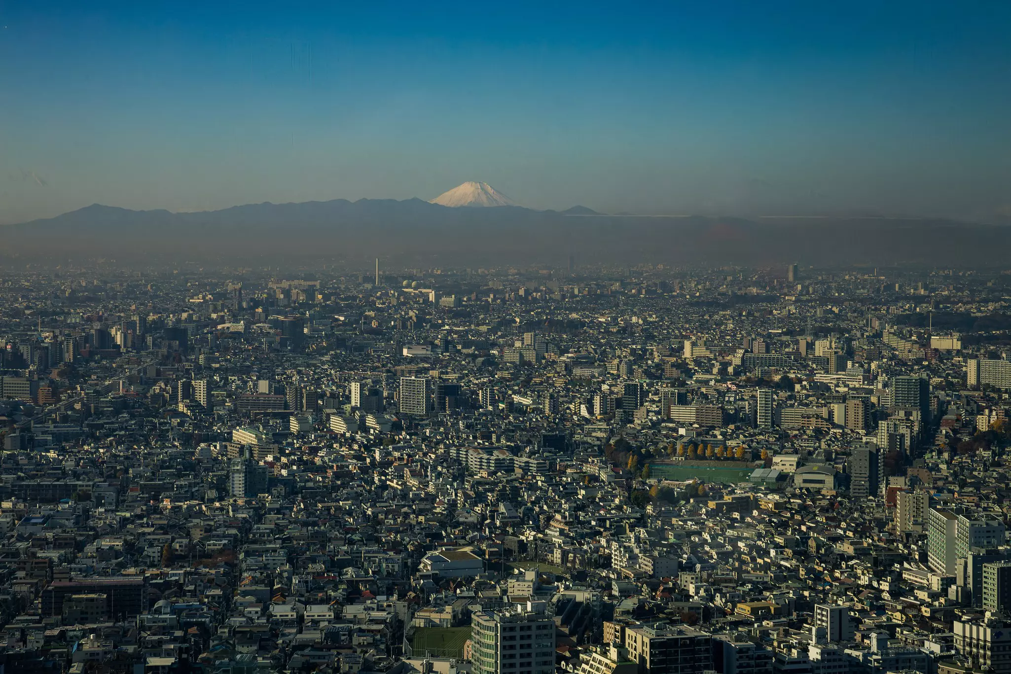 A city view with a distant snowcapped mountain peaking above the horizon