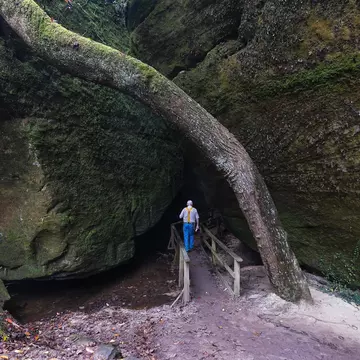 A man hiking at Dismals Canyon in Franklin County, Alabama.
M5RD2F
hiking, leisure, peaceful, rock, trail, tranquil, formations, outdoors, nature, walking, enjoying nature, one person, man