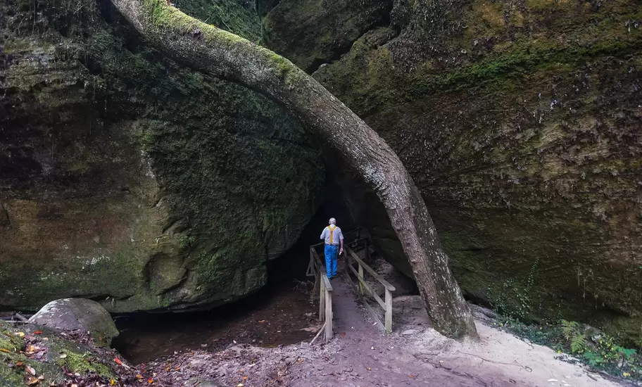 Hiker on a wooden footbridge passing beneath a tree arching between mossy sandstone boulders in an Alabama canyon