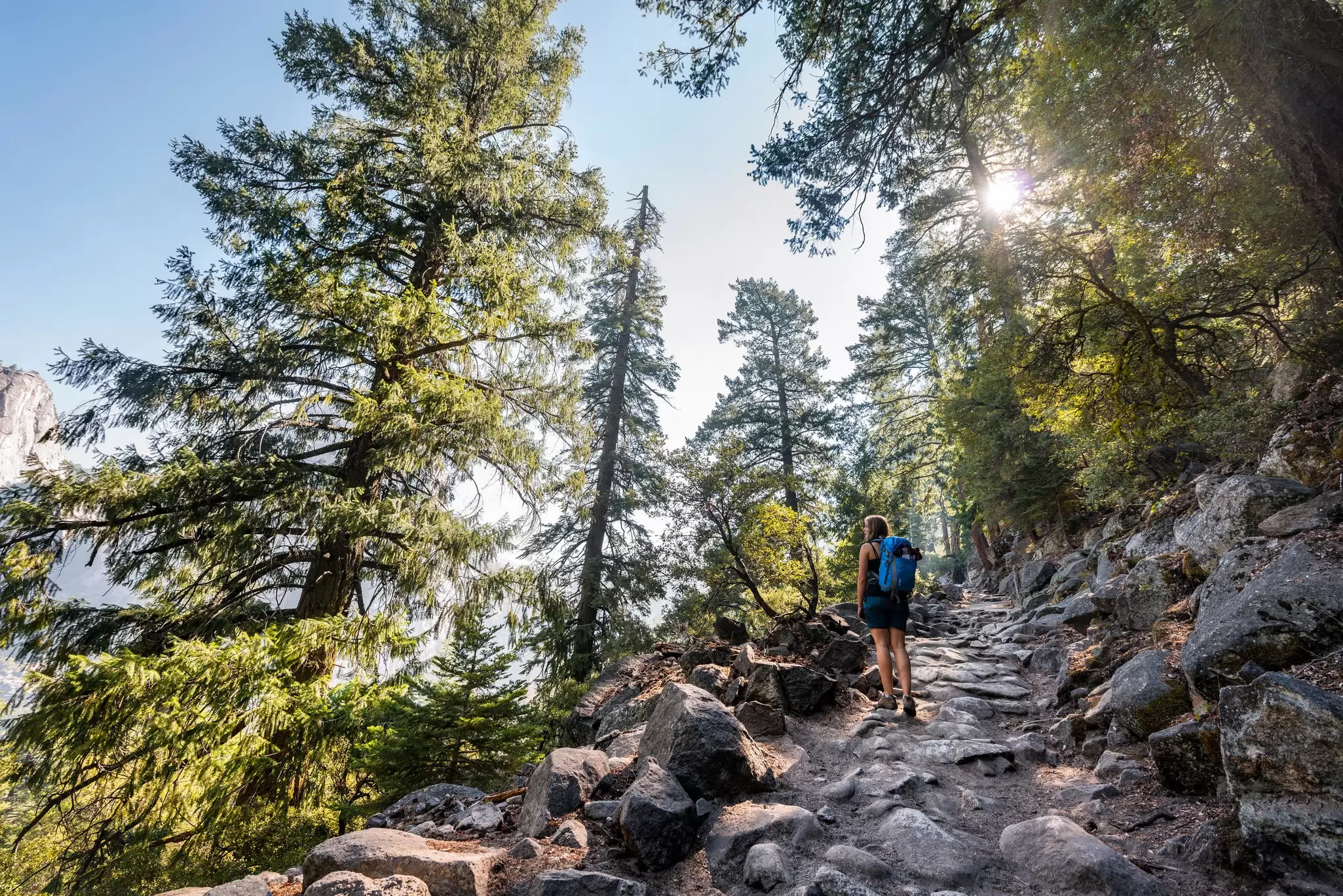 A hiker on a trail in the outdoors
