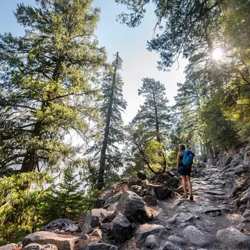 A woman hiking on a rocky trail on the John Muir Trail.
FHF3P8
hike national park outdoors person woman female hiker California USA Americas rear view forest sunshine stone backlit way nature stony nature tourism nature holidays tourism female tourist hiking trail daytime natural landmark recreational activity leisure activity active Yosemite National Park