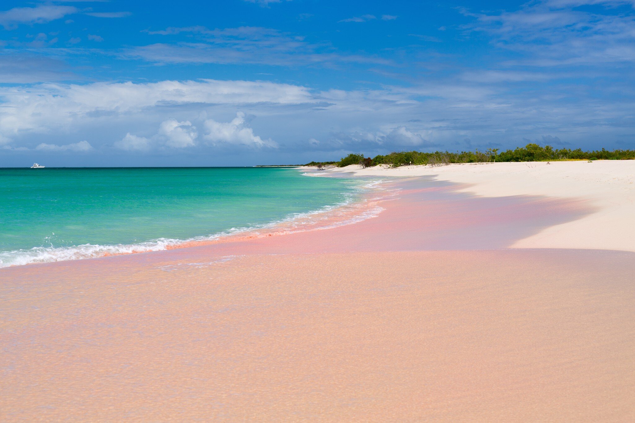 Empty shoreline with pink sand, gentle waves, a low green treeline and a boat on the horizon
