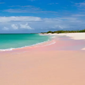 Empty shoreline with pink sand, gentle waves, a low green treeline and a boat on the horizon