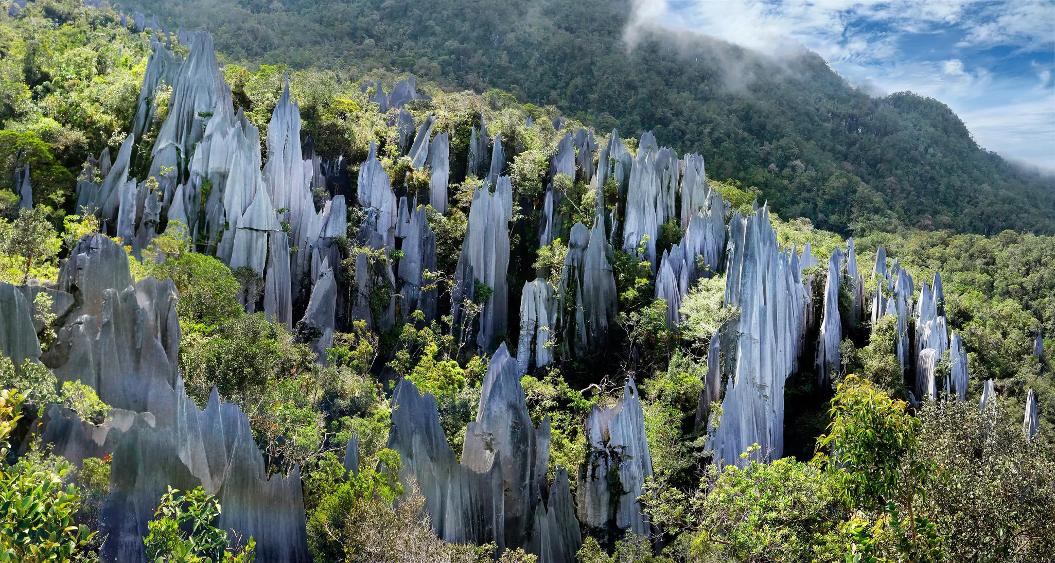 Pinnacles rock formations in Gunung Mulu National Park