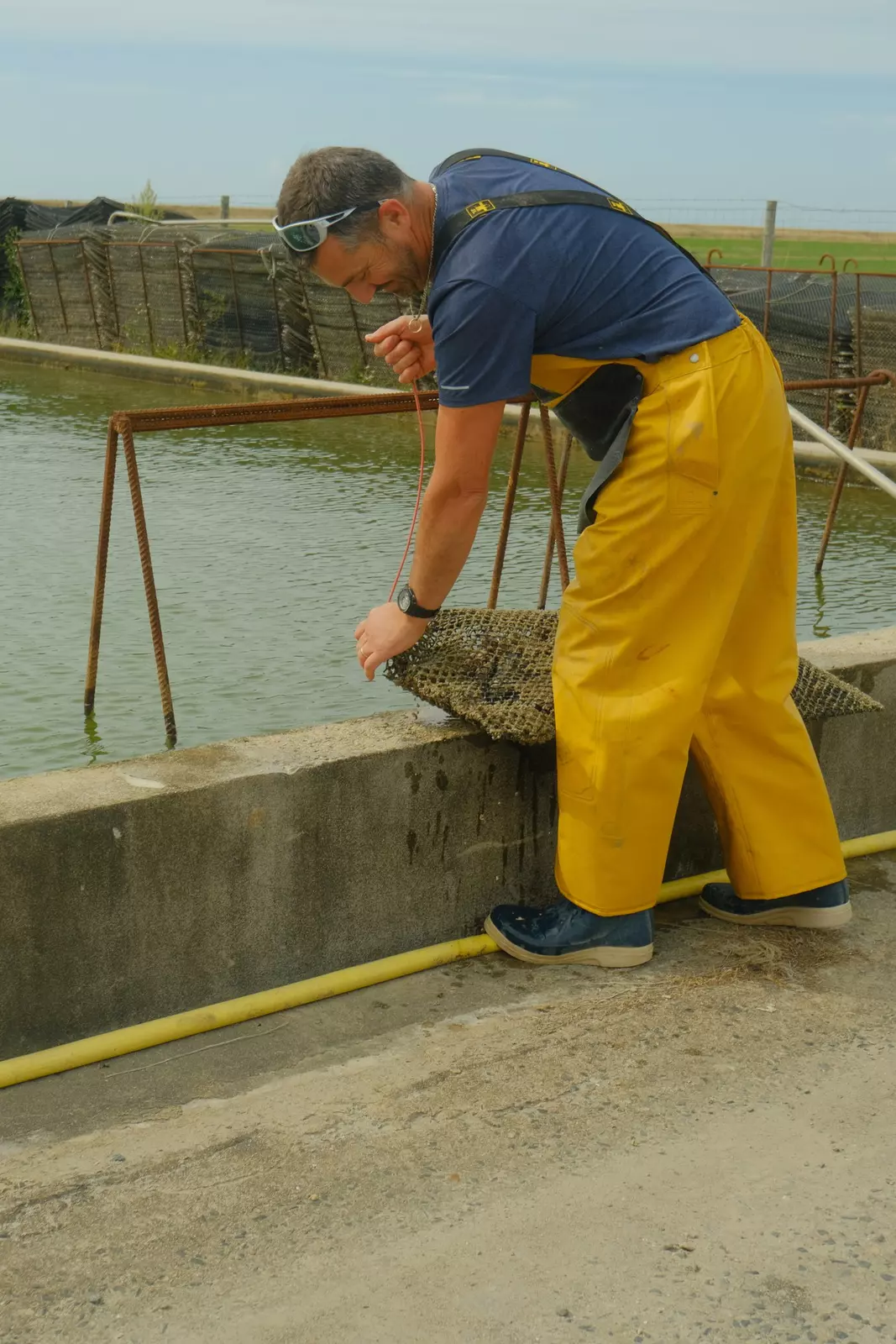 Huitres Baptiste Raimbaud, an oyster farm near the shore at Port des Champs, Vendée, France