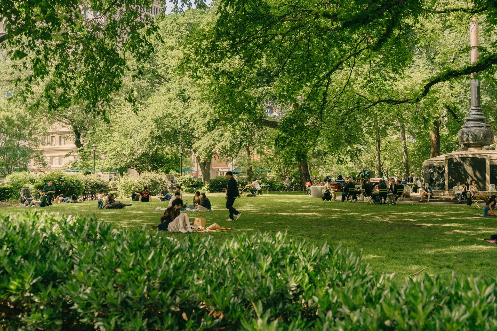 People gathered in a green park on a sunny day