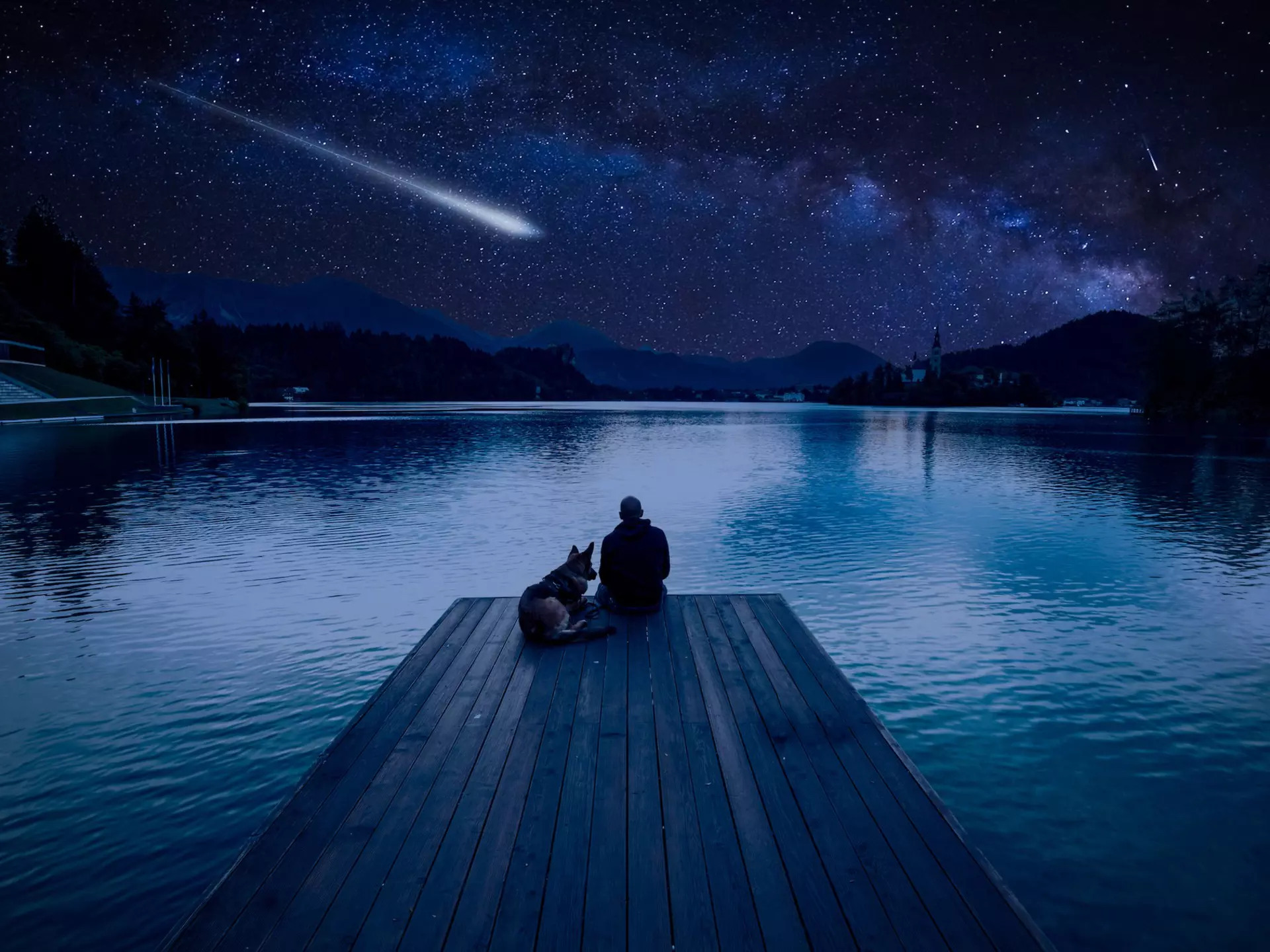 The Perseids meteor shower will peak this year the night of August 12 © marcin jucha / Shutterstock