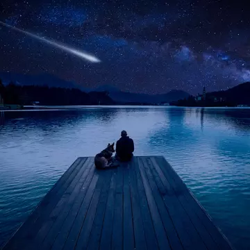 The Perseids meteor shower will peak this year the night of August 12 © marcin jucha / Shutterstock