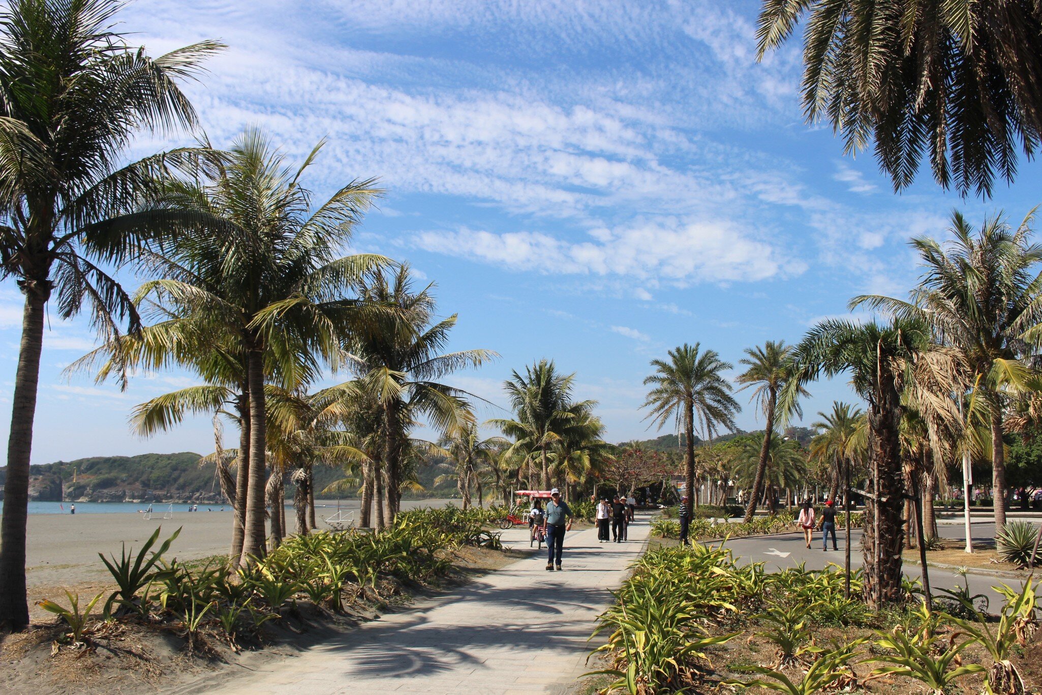 A walkway along the beach lined with palm trees in Cijin Island in Kaohsiung, Taiwan.